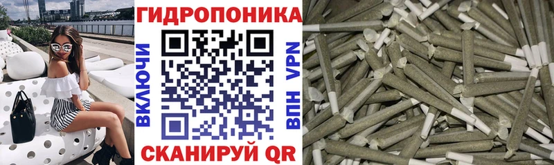 даркнет сайт Ясногорск Бошки Шишки AK-47
